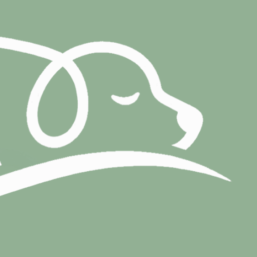 Hundekomfort – besser schlafen für Hunde