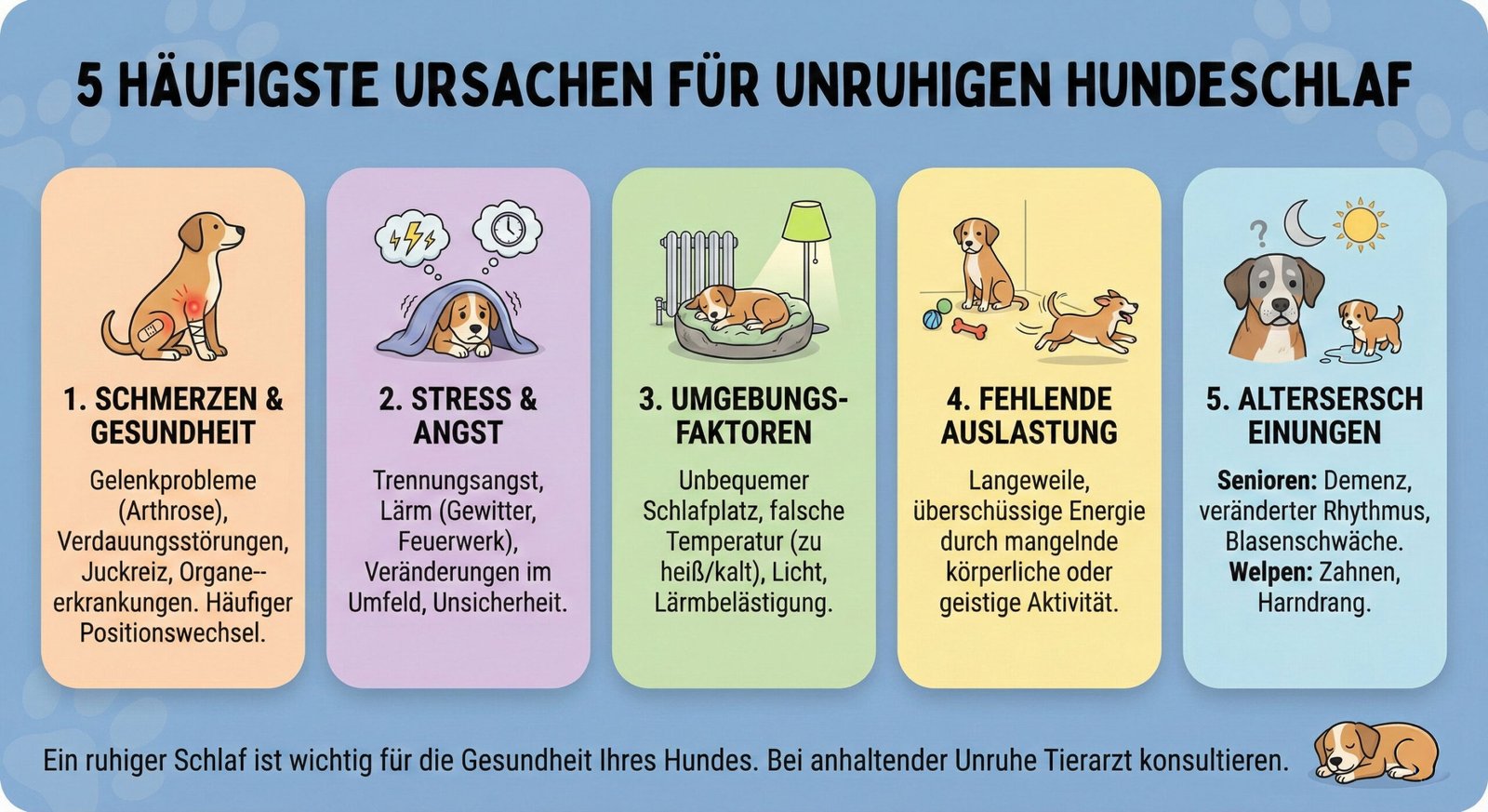 Warum Hunde unruhig schlafen - die 5 häufigsten Ursachen